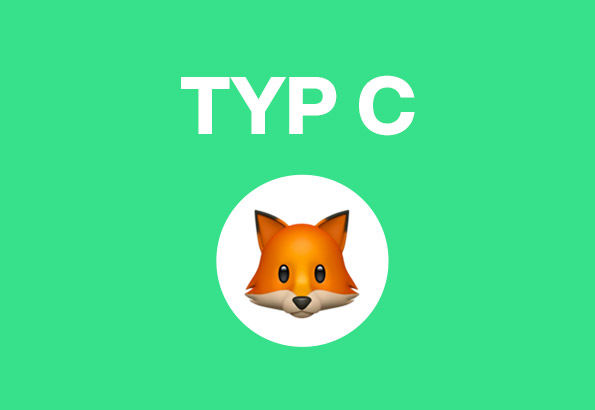 Bild: TYP C und ein Fuchs Icon auf grünem Hintergrund
